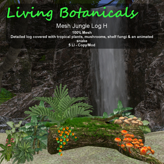 Inochi Botanicals - Jungle Log H