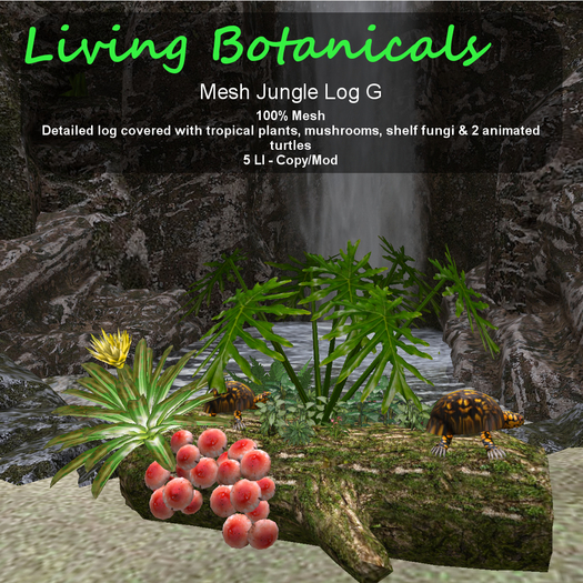 Inochi Botanicals - Jungle Log G