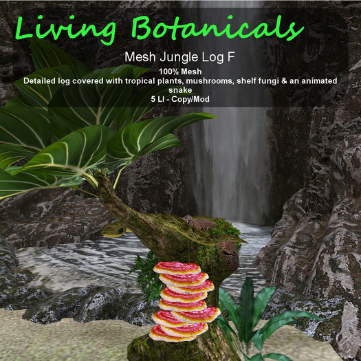 Inochi Botanicals - Jungle Log F
