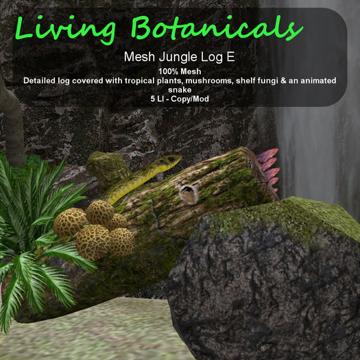 Inochi Botanicals - Jungle Log E
