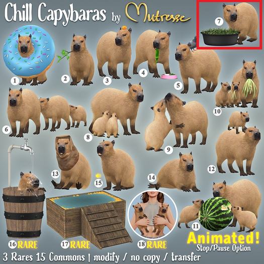 7. Mutresse-Chill Capybaras