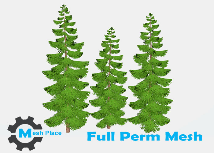 Mesh Place - Spruce Tree Full Perm