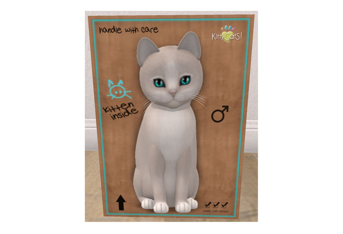 KittyCatS Box - New Born Kitten