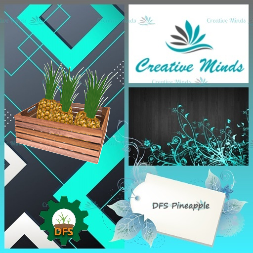 DFS Pineapple Basket (Actual Item)