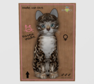 Female Breedable Cat KittyCatS Bengal - Tawny New Born Kitten