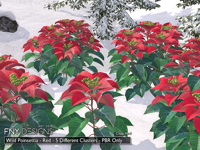 :FNY: Designs - Wild Poinsettia RED