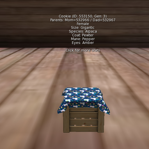 Foxtrot Alpaca Female