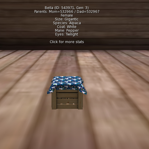 Foxtrot Alpaca Female