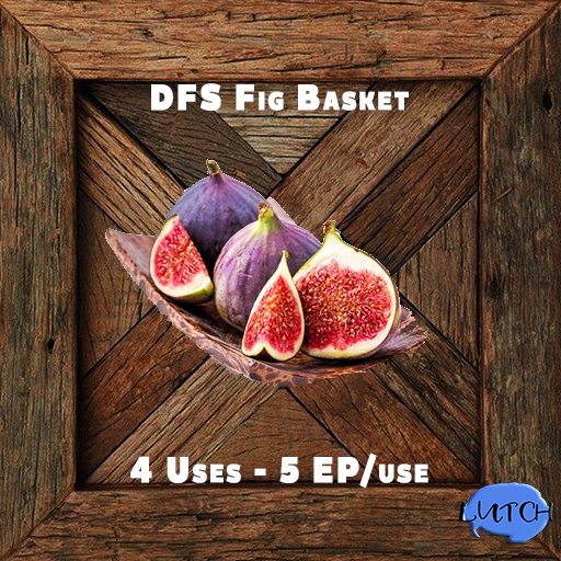 [10] DFS Fig Basket
