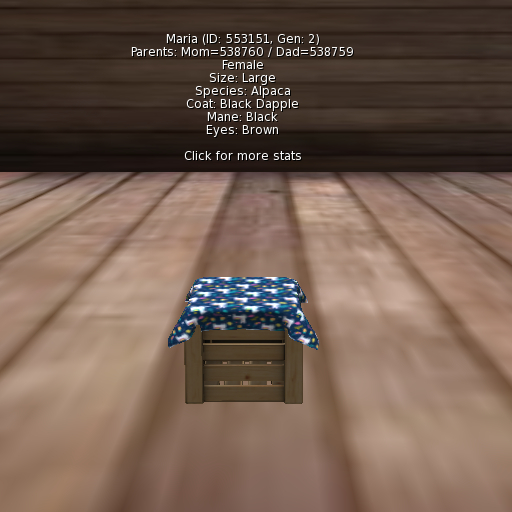 Foxtrot Alpaca Female