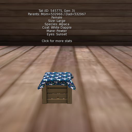 Foxtrot Alpaca Female