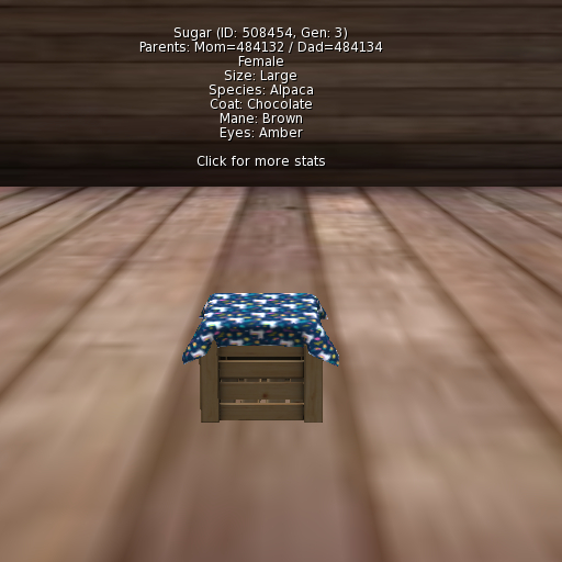 Foxtrot Alpaca Female