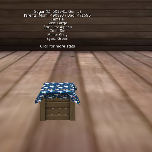 Foxtrot Alpaca Female