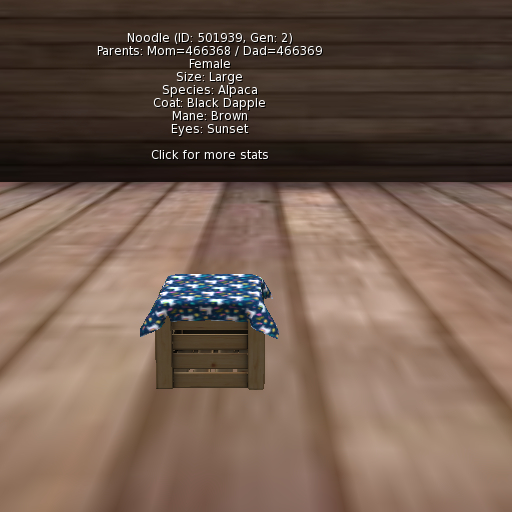 Foxtrot Alpaca Female