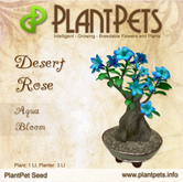 PlantPet Seed [Desert Rose *Aqua Bloom*]