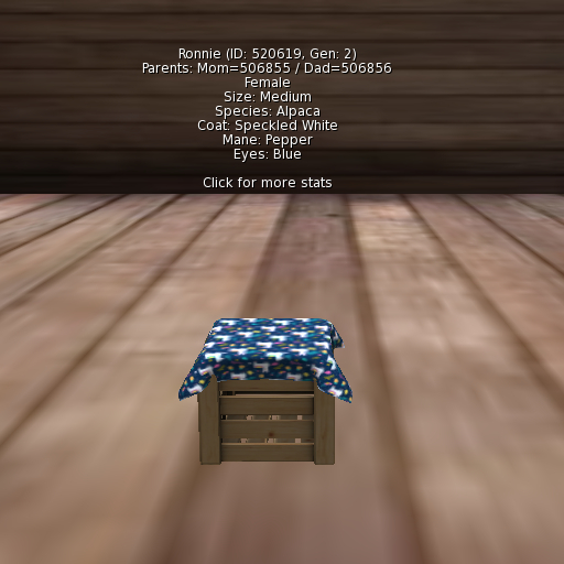 Foxtrot Alpaca Female