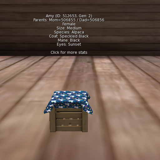 Foxtrot Alpaca Female