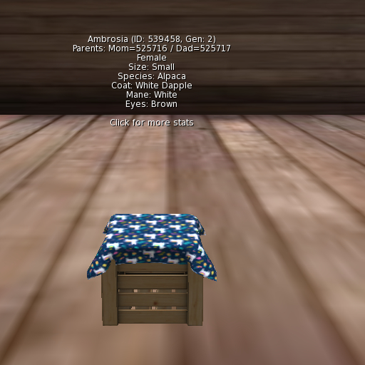 Foxtrot Alpaca Female