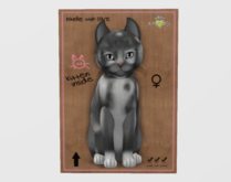 Female Breedable Cat European Shorthair - Grey & White No. 1