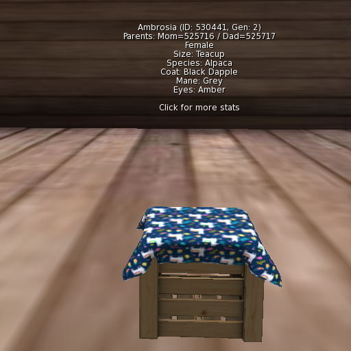 Foxtrot Alpaca Female