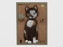 Male Breedable Cat KittyCatS Genesis - Patch