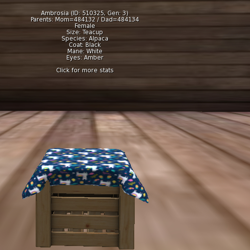 Foxtrot Alpaca Female