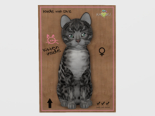 Female Breedable Cat KittyCatS Bengal - Charcoal Cosmic Dream