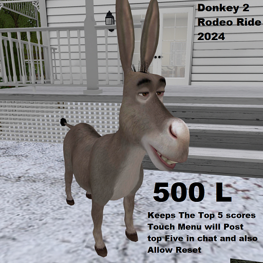 Donkey 2 Rodeo Ride 2024