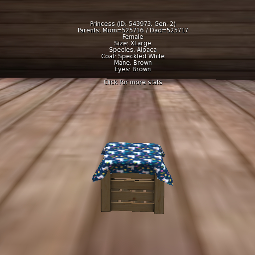 Foxtrot Alpaca Female