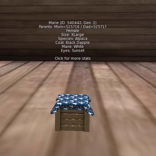 Foxtrot Alpaca Female