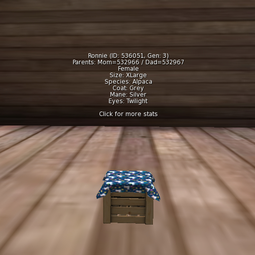 Foxtrot Alpaca Female