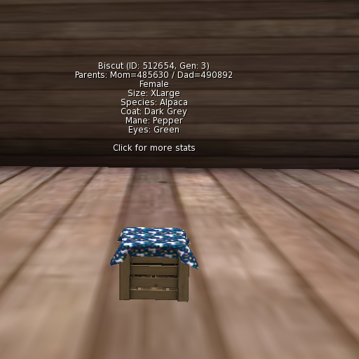 Foxtrot Alpaca Female