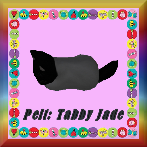 Stray Cats Kitten - Stray Cats Kitten 8 (M)