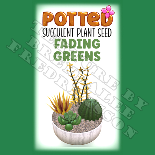 Potted: Succulent Plant Seed: Fading Greens (ACTUAL PLANT SEED) - Retired!