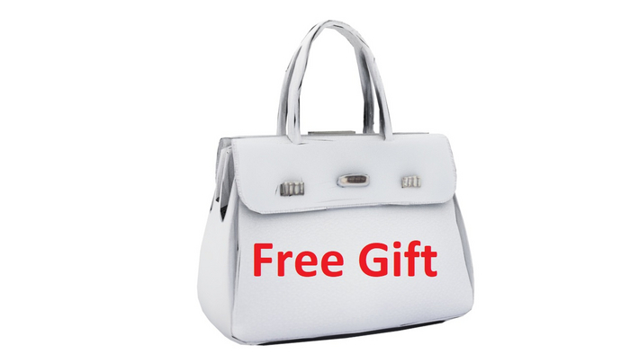 handbag gift