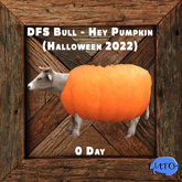 DFS Bull - Hey Pumpkin (Halloween 2022)