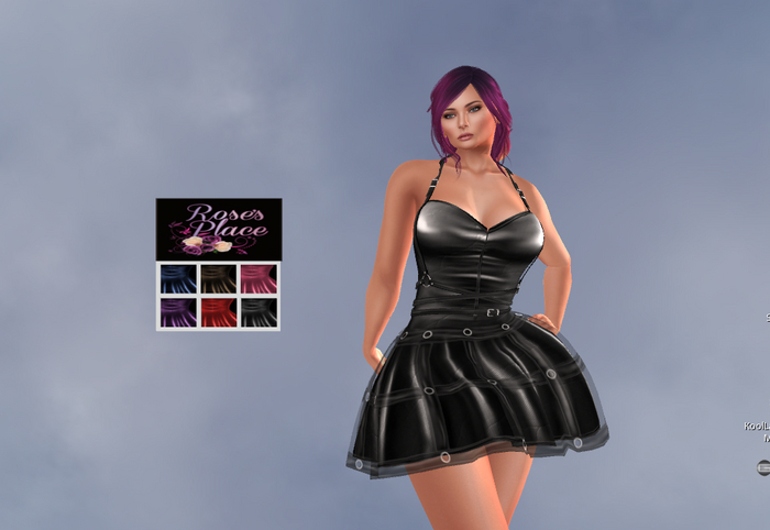 Tule and Leather Dress Demo