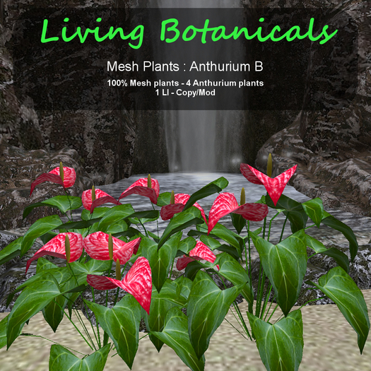 Inochi Botanicals - Mesh Plant "Anthurium B"
