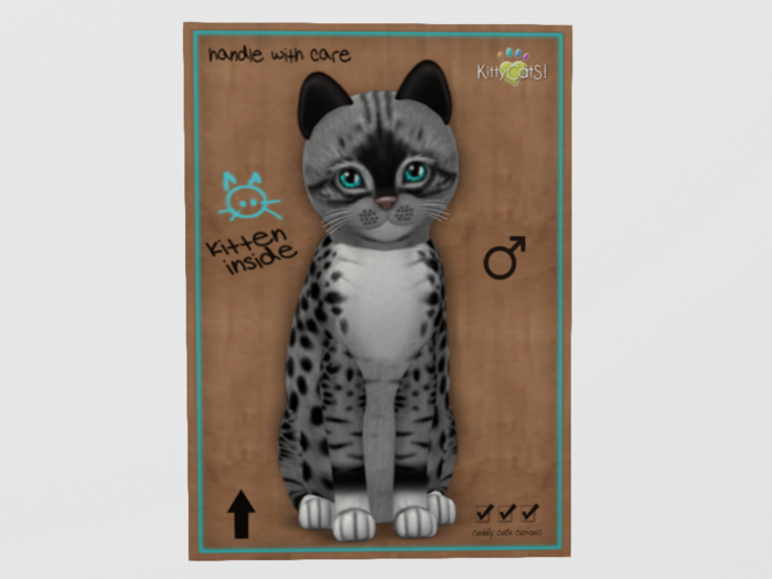 Male Breedable Cat KittyCatS Genesis - Bandit II Kitten