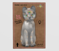 Female Breedable Cat KittyCatS Tonkinese - Lilac Tortie Blink G