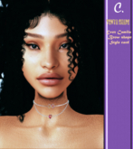 Collector : Tonya shape