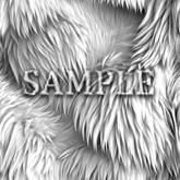 Zoy Texture [ Rugged Fur Seamless 03 ] A