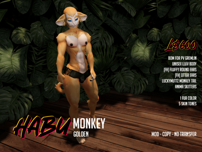 [HABU] Monkey - Golden