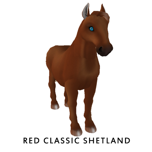 Reptile eye Female-red classic Shetland-BUNDLE