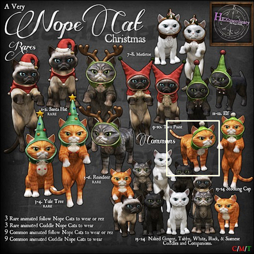13. *HEXtraordinary* Nope Cat - Companion Stocking Cap