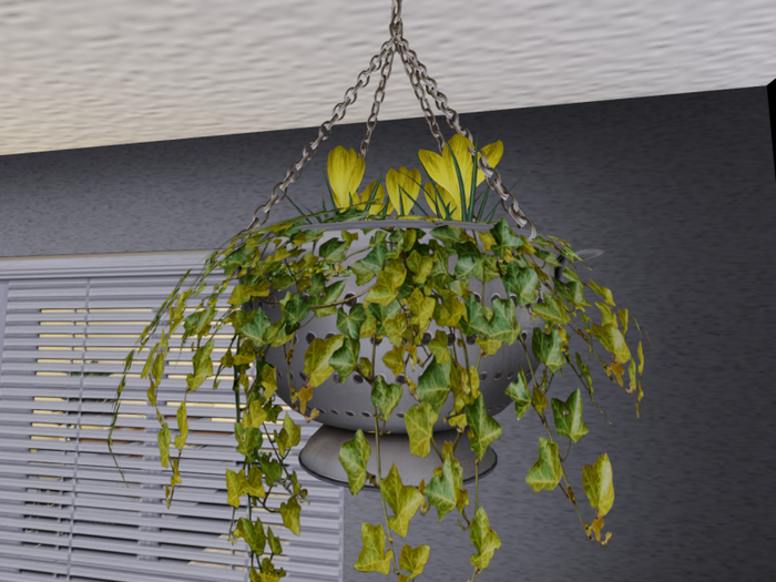 Hanging Planters with Yellow Crocuses