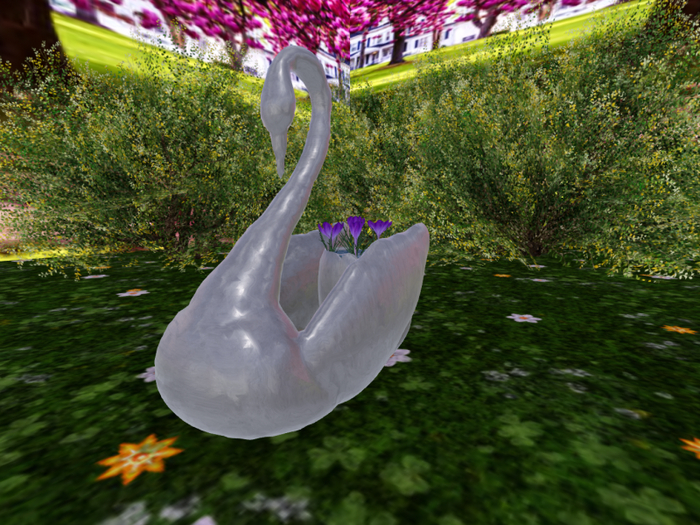 Silver Swan with  Purple Crocuses