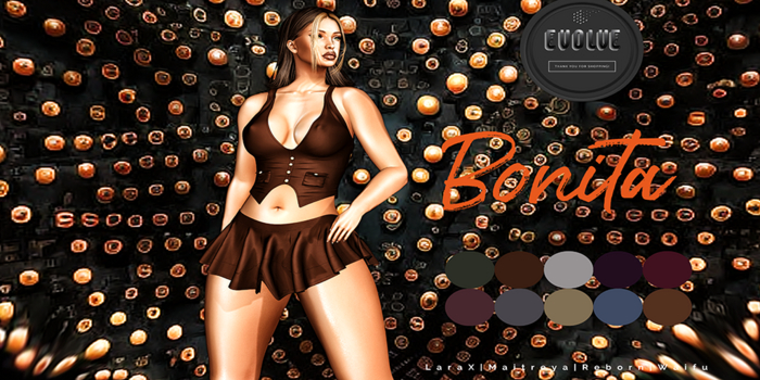 EVOLVE BONITA BLOGGER BOX