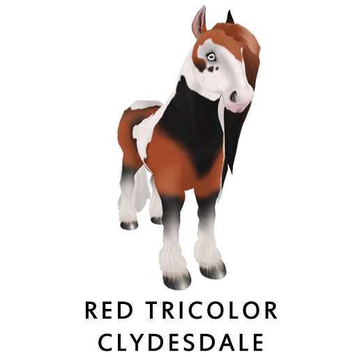 Female Tri Color Clydesdalel 2 BUNDLE