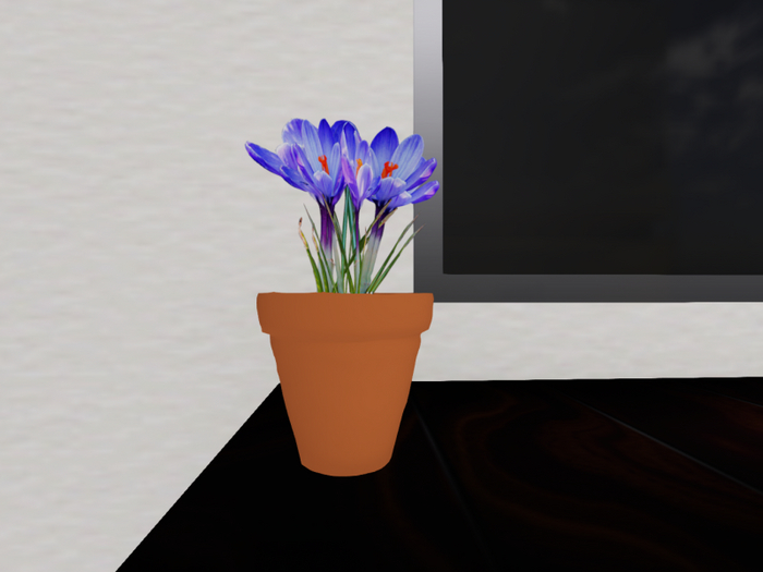 Crocuses in  Blue with a Clay Pot